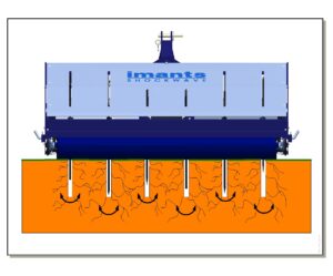 Imants Shockwave animation