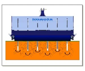 Imants Shockwave animation