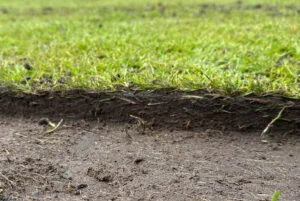KORO-FTM-Campey-Turf-Care-06